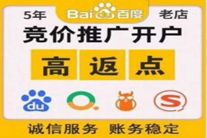 推广竞价策略优化：借鉴经典案例提升效果